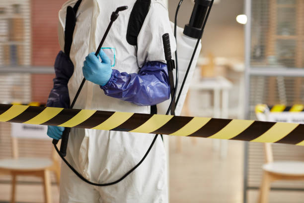 Professional Sewage Cleanup technician working in Mulberry, IN